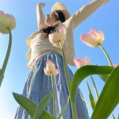 北冰洋行动国语